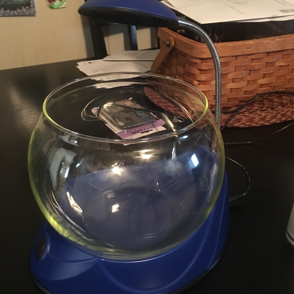 Top fin fish bowl